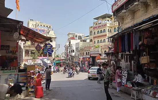 vatsalya vihar resort udaipur