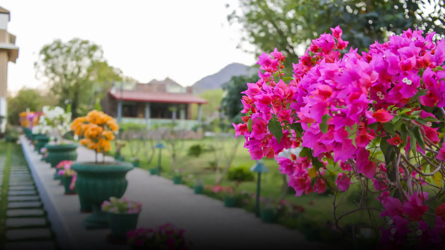 Udaipur Monsoon Beauty